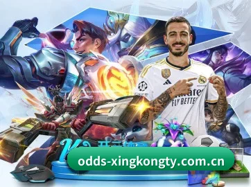 星空入口网页版 APP